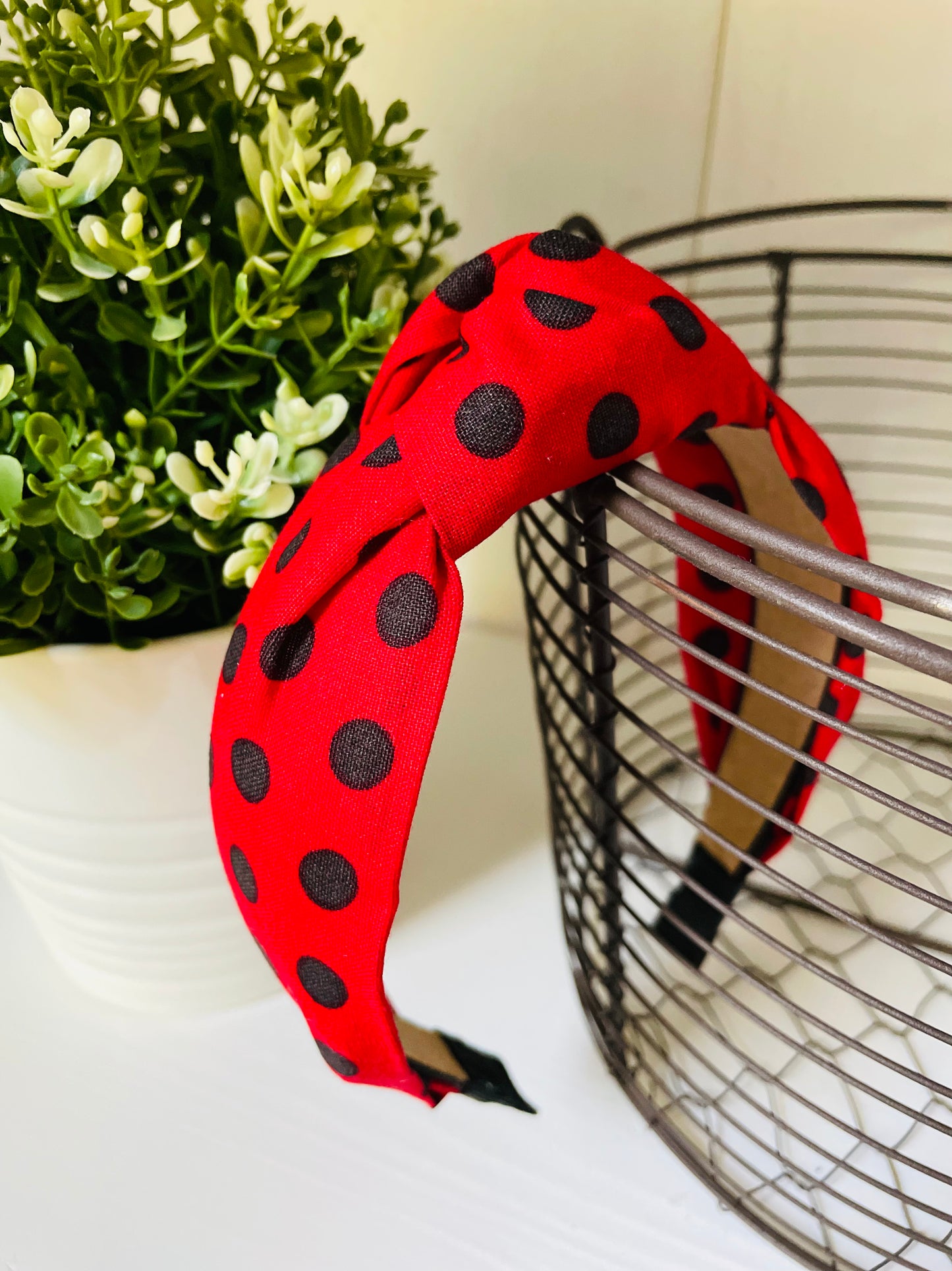 Ladybug