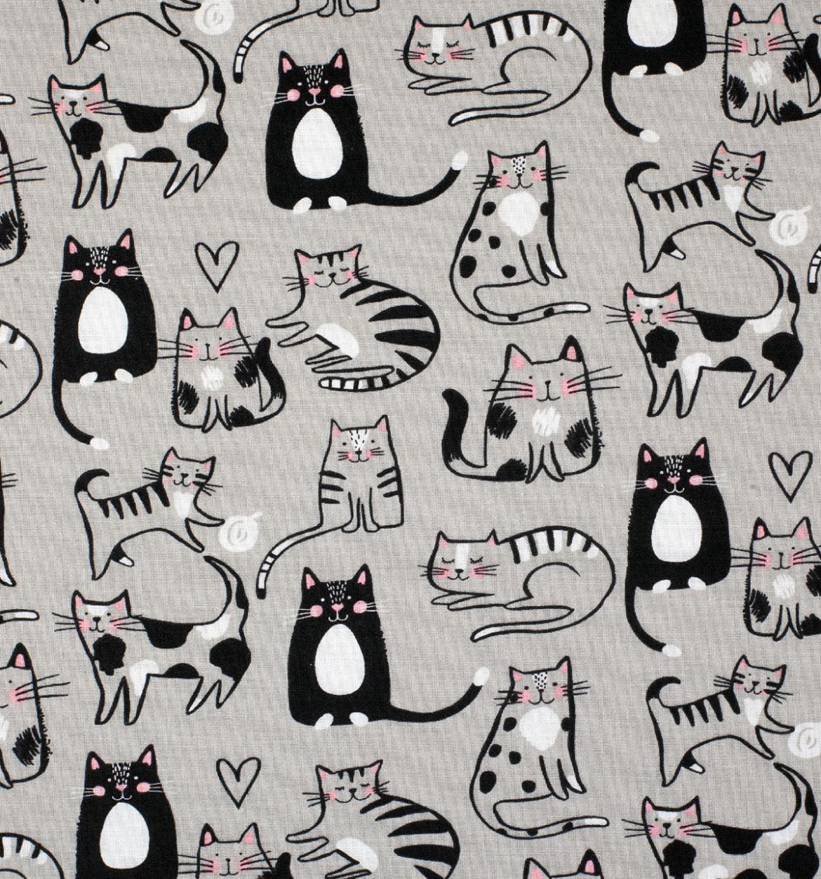 Cat Lover